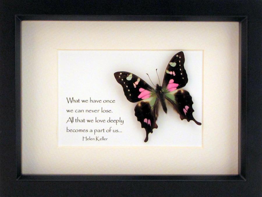 Helen Keller | Sky Vine Butterflies